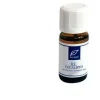 Acqua Di Bolgheri Olio Essenziale Eucalipto 10 Ml