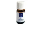 Acqua Di Bolgheri Olio Essenziale Citronella 10 Ml