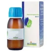 Aesculus Hippocastanum Macerato Glicerico 60Ml