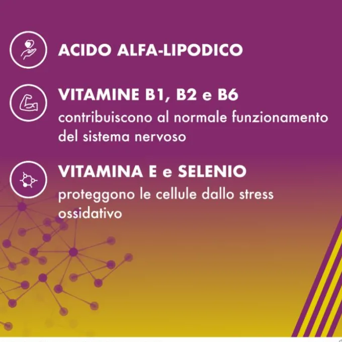 Alanerv Integratore Antiossidante 920 Mg 20 Capsule Salute Del Sistema Nervoso