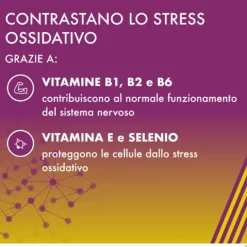 Alanerv On Integratore Antiossidante Neurotrofico 20 Compresse Salute Del Sistema Nervoso