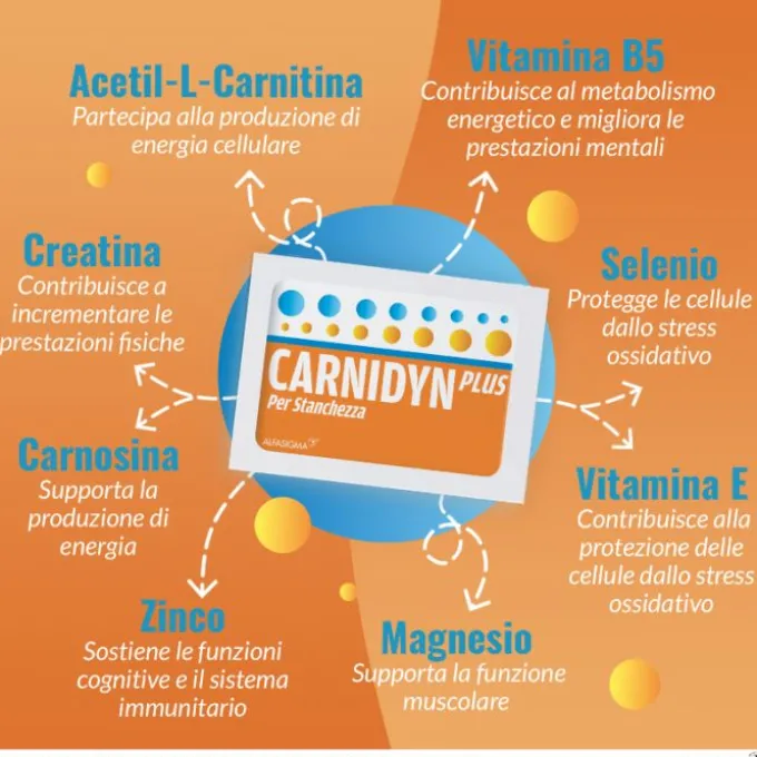 Alfasigma Carnidyn Plus Integratore Energetico Con Carnitina 20 Bustine Tonificanti