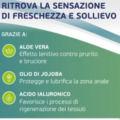 Alfasigma Proctosoll Allevia Gel Per La Prevenzione E Cura Della Sindrome Emorroidaria 40 Ml