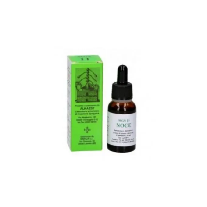 Alkaest Mgs11 Noce Macerato Glicerico Spg 20 Ml