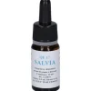 Alkaest Quintessenza Qe17 Salvia 10Ml