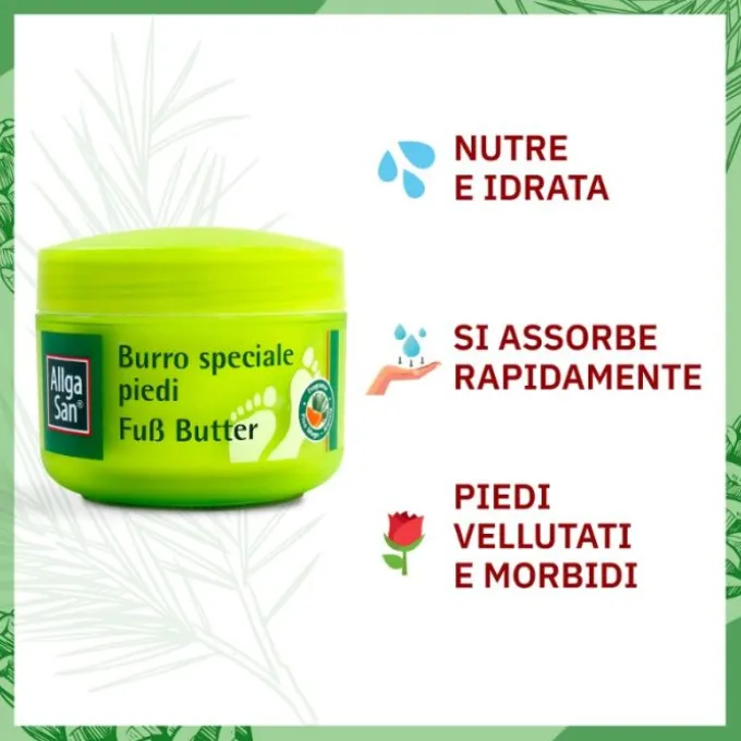 Allgasan Allga San Burro Speciale Per Piedi 250 Ml Creme Secchezza Piede
