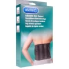 Alvita Fascia Lombare Misura 1 Circonferenza 80-100 Cm Fasce E Cinture