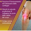 Amedial Plus Integratore Ossa Cartilagini Collagene 20 Bustine Salute Delle Articolazioni