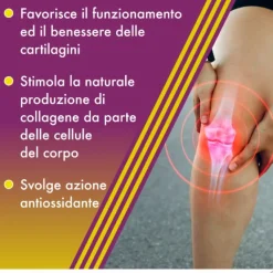 Amedial Plus Integratore Ossa Cartilagini Collagene 20 Bustine Salute Delle Articolazioni