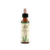 Argimony Schwabe Fiori Di Bach 01 Agrimony Gocce 20 Ml