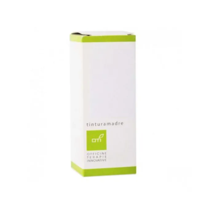 Astragalus Membranaceus Tintura Madre Gocce 100 Ml
