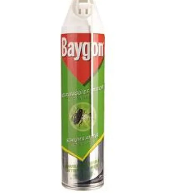 Baygon Polvere Scarafaggi & Formiche Insetticida 250 G Insetticidi Casa E Ambiente