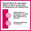 Benexol Spray Integratore Alimentare Di Vitamina B12 Ad Alto Dosaggio, Con Edulcorante, Flacone Da 15 Ml