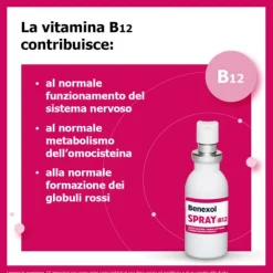 Benexol Spray Integratore Alimentare Di Vitamina B12 Ad Alto Dosaggio, Con Edulcorante, Flacone Da 15 Ml