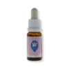 Blueberry 15Ml Cactus