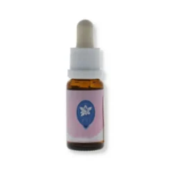 Blueberry 15Ml Cactus