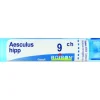 Boiron Aesculus Hippocastanum 09Ch Tubo Granuli 4G