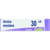 Boiron Arnica Montana Globuli 30Ch Dose 1G Omeopatia