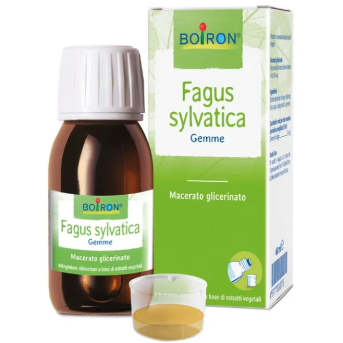 Boiron Fagus Sylvatica Macerato Glicerinato 60Ml