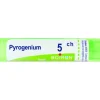 Boiron Pyrogenium Granuli 05Ch Tubo 4G Omeopatia
