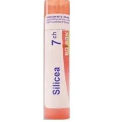 Boiron Silicea Granuli 07Ch Tubo 4G Omeopatia