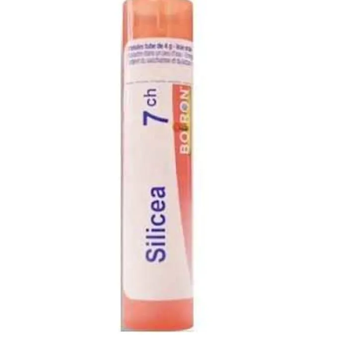 Boiron Silicea Granuli 07Ch Tubo 4G Omeopatia