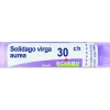 Boiron Solidago Virga Aurea Granuli 30Ch Tubo 4G