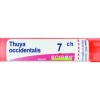 Boiron Thuya Occidentalis Granuli 07Ch Tubo 4G