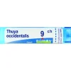 Boiron Thuya Occidentalis Granuli 09Ch Tubo 4G