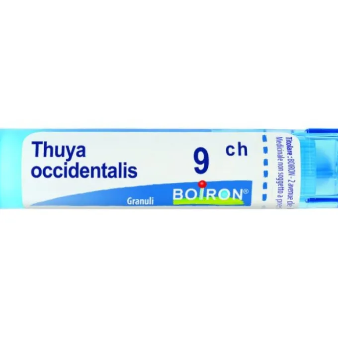 Boiron Thuya Occidentalis Granuli 09Ch Tubo 4G