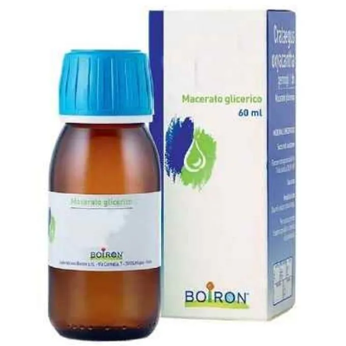 Boiron Vitis Vinifera Macerato Glicerico 60Ml