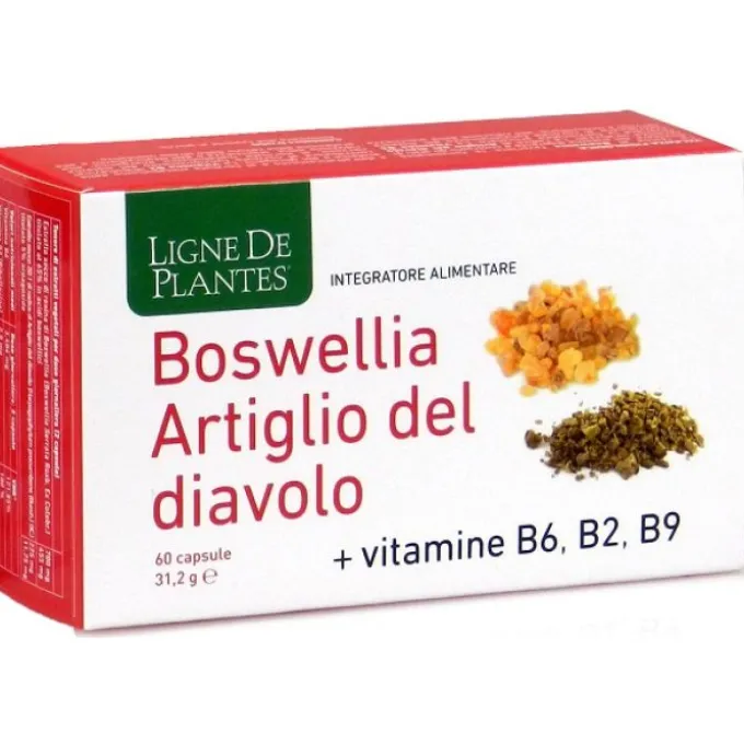 Boswellia Artiglio Diavolo Vitamine B2 B6 B9 60 Capsule Salute Delle Articolazioni