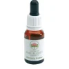 Bush Biotherapies Pty Ltd Banksia Robur Gocce 15Ml Omeopatia