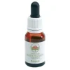 Bush Flower Essences Fiori Australiani Boronia Gocce 15 Ml Omeopatia