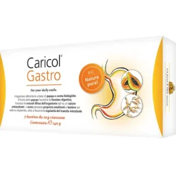 Caricol-Gastro 7 Bustine Da 20 G Senza Lattosio Acidita'