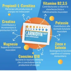 Carnidyn Fast Magnesio E Potassio Integratore 20 Bustine Tonificanti