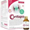 Cartilagea Salugea 18 Flaconcini Da 12 Ml Salute Delle Articolazioni