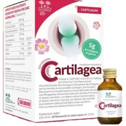 Cartilagea Salugea 18 Flaconcini Da 12 Ml Salute Delle Articolazioni