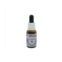 Cedar 15Ml