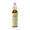 Cerato Bach Original Flower Essences 20Ml