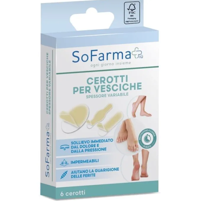 Cerotto Vescica Assortiti Sofarmapiu' 6 Pezzi