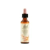Cherry Plum Bach 20Ml