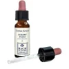 Cherry Plum Original Gocce 10 Ml Omeopatia