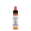 Chestnut Bud Essenza 10 Ml 1 Pezzo