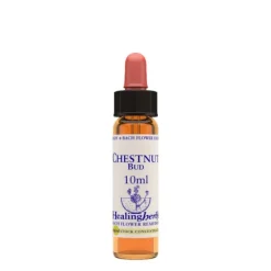 Chestnut Bud Essenza 10 Ml 1 Pezzo