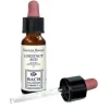 Chestnut Bud Original Gocce 10 Ml Omeopatia