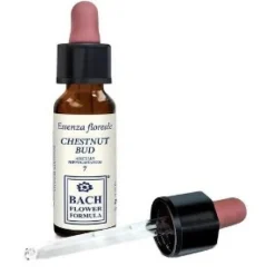 Chestnut Bud Original Gocce 10 Ml Omeopatia