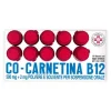 Cocarnetina Co-Carnetina B12 10 Flaconcini 10 Ml