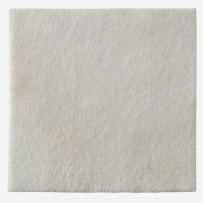 Coloplast Biatain Alginate Ag 5X5Cm 30Pz