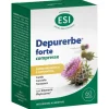 DEPURERBE FORTE INTEGRATORE CON SILYMARIN PHYTOSOME, CARCIOFO, TARASSACO, BARDANA, COLINA, INOSITOLO E VITAMINA B6 60 COMPRESSE